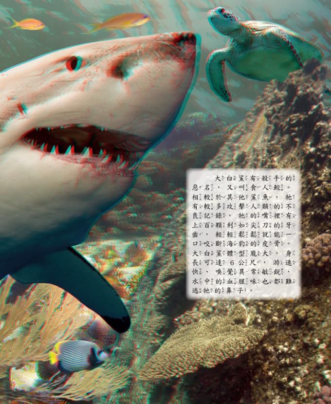 海底探奇‧鯊魚突襲
