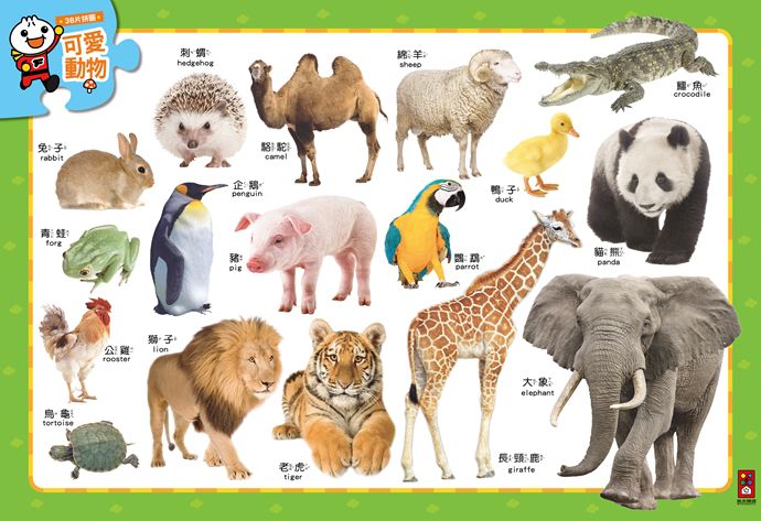 Cute Animals - Smart Baby Big Puzzle - FOOD Superman