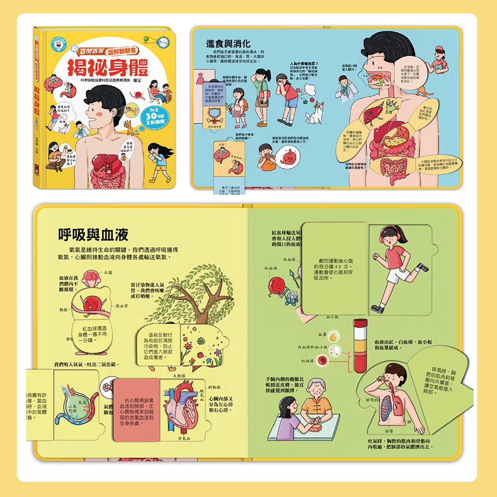 百問百答圖解翻翻書-揭祕恐龍 百問百答圖解翻翻書-揭祕恐龍