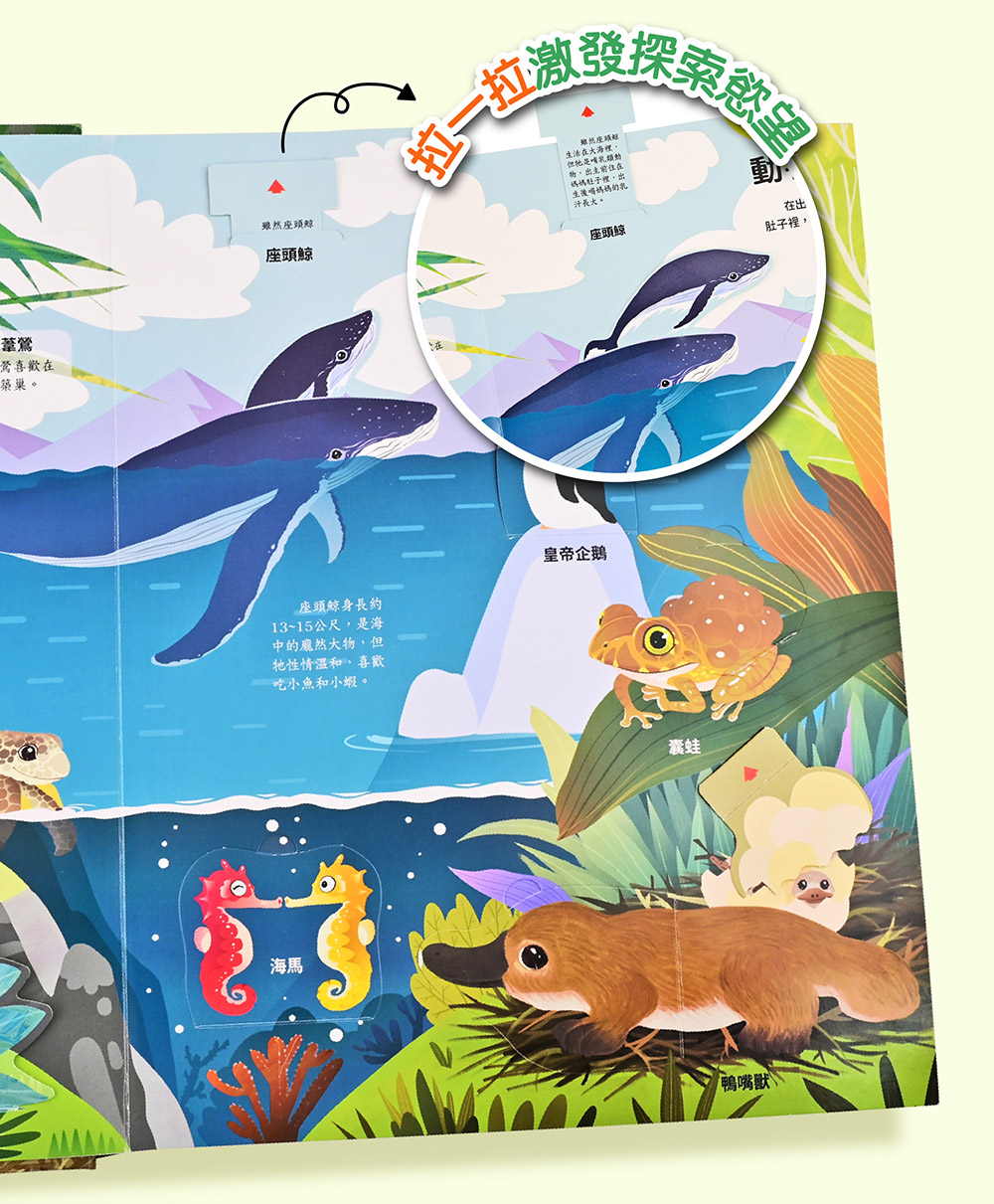 神奇的動物百科立體翻翻書