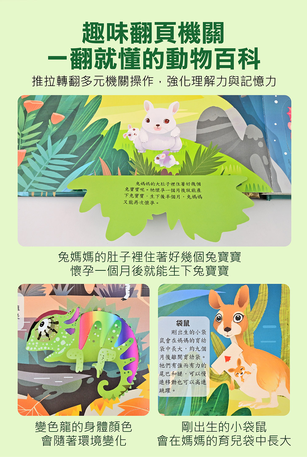 神奇的動物百科立體翻翻書