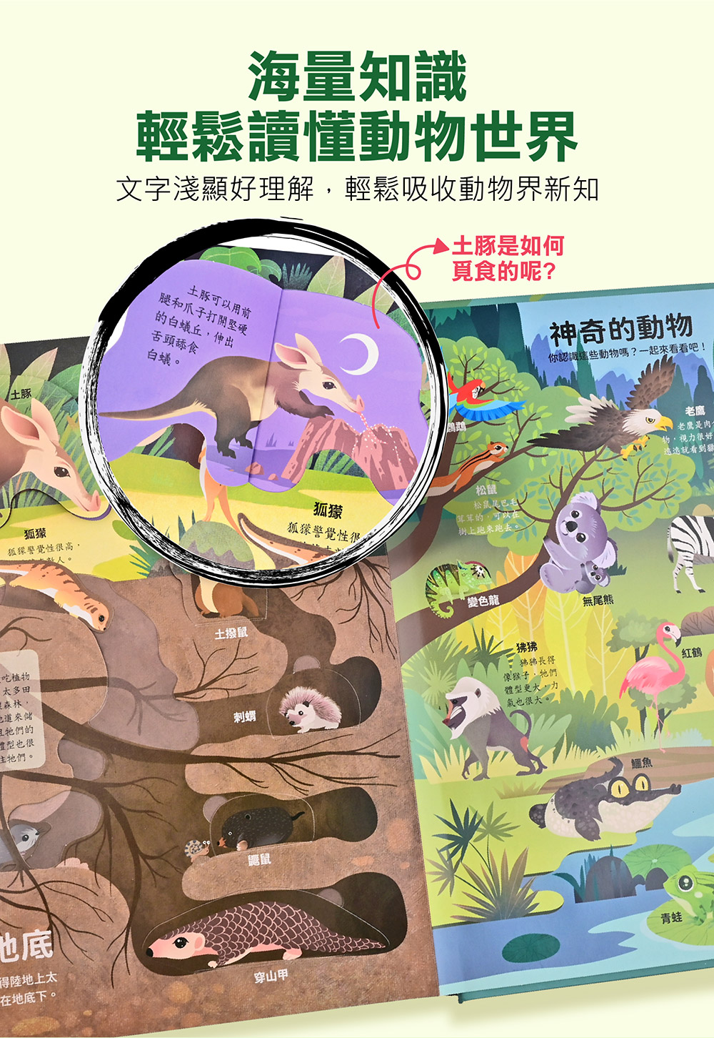 神奇的動物百科立體翻翻書