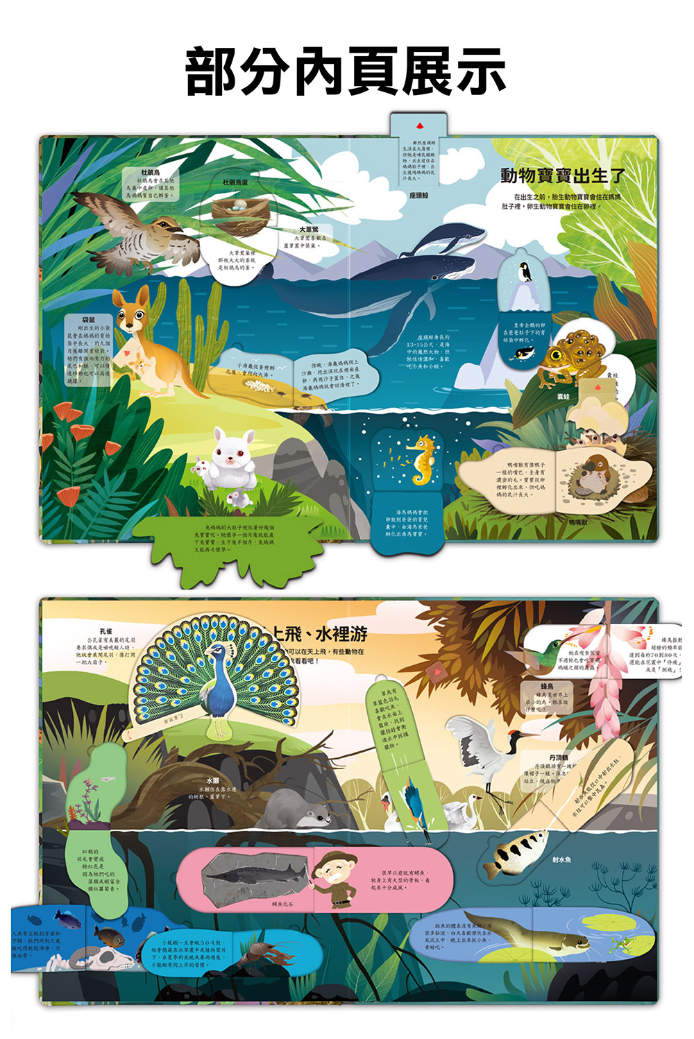 神奇的動物百科立體翻翻書