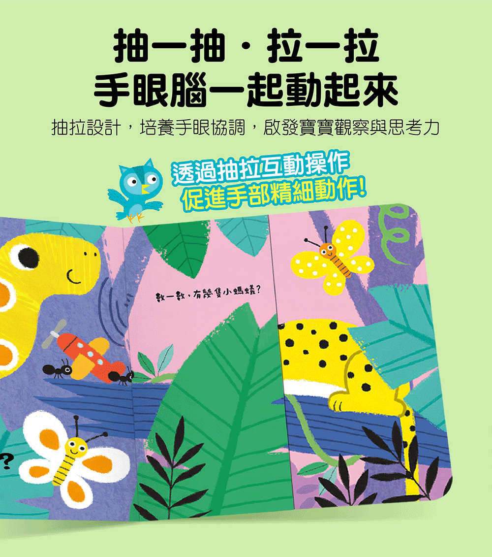 玩得停不下來的抽拉書-泰迪熊不見了