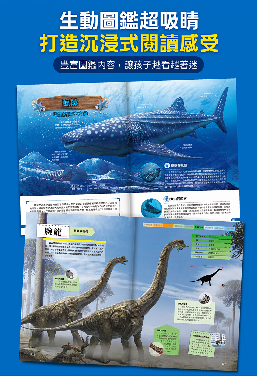 恐龍大百科 恐龍大百科