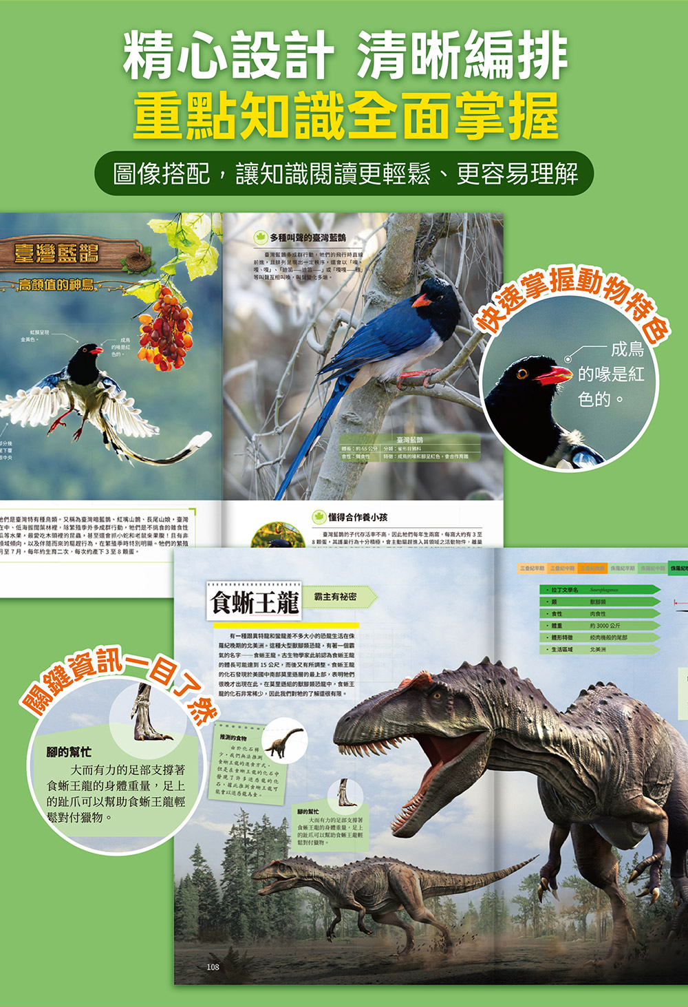 恐龍大百科 恐龍大百科