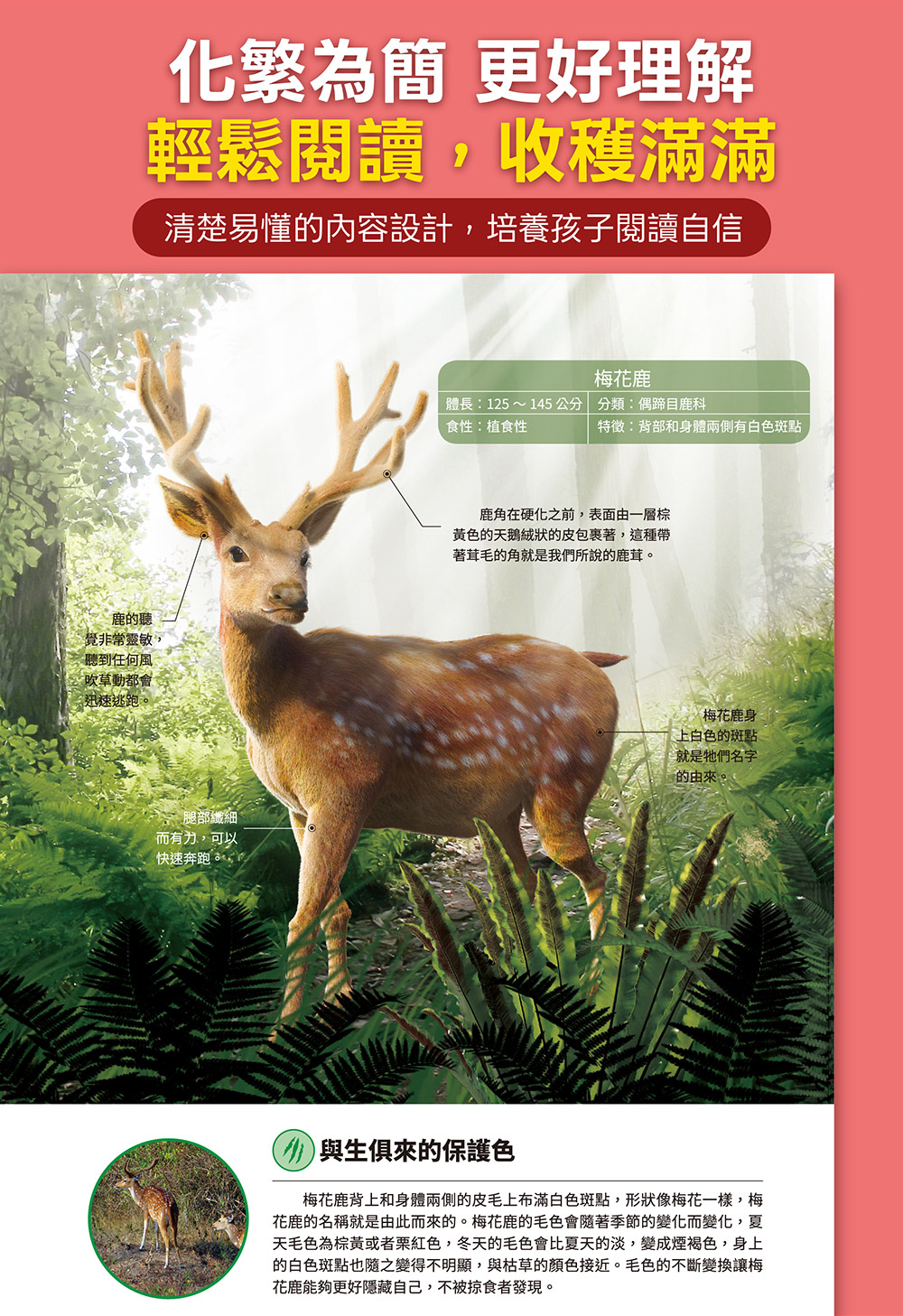 恐龍大百科 恐龍大百科